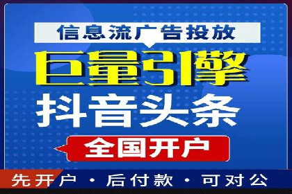 行业领先SEM托管代运营案例